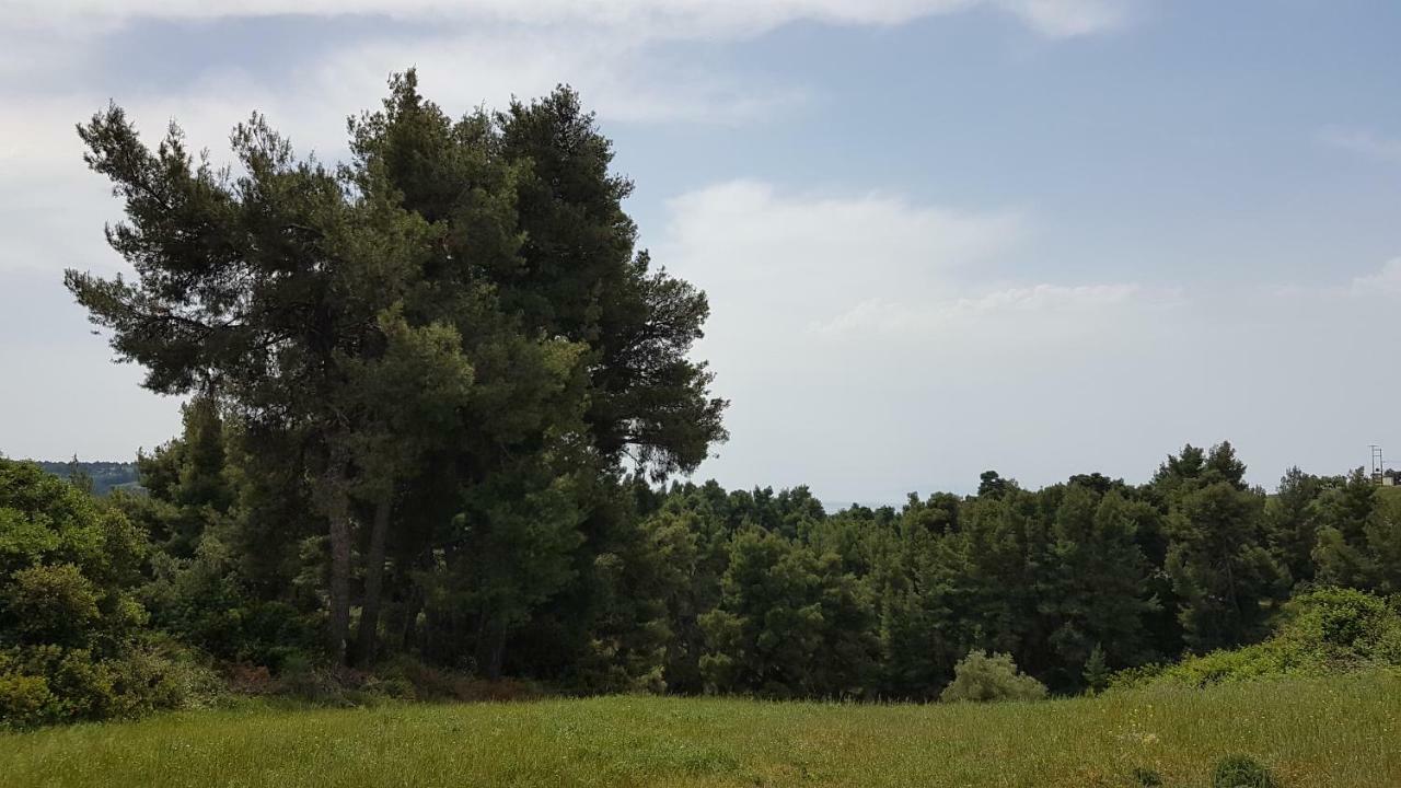 Villa Sugarella Σίβηρη Εξωτερικό φωτογραφία