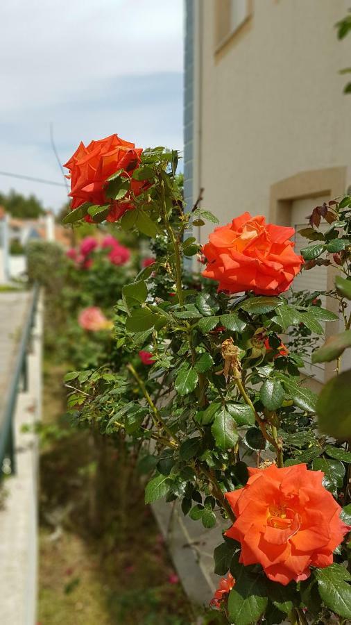 Villa Sugarella Σίβηρη Εξωτερικό φωτογραφία
